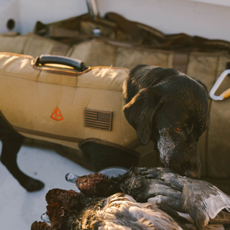 Flak Jacket Down East Gear